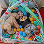 animal, baby, bed, canine, crib, cushion, dog, face, furniture, head, homedecor, infantbed, newborn, person, pet, photography, plush, portrait, sleeping, toy