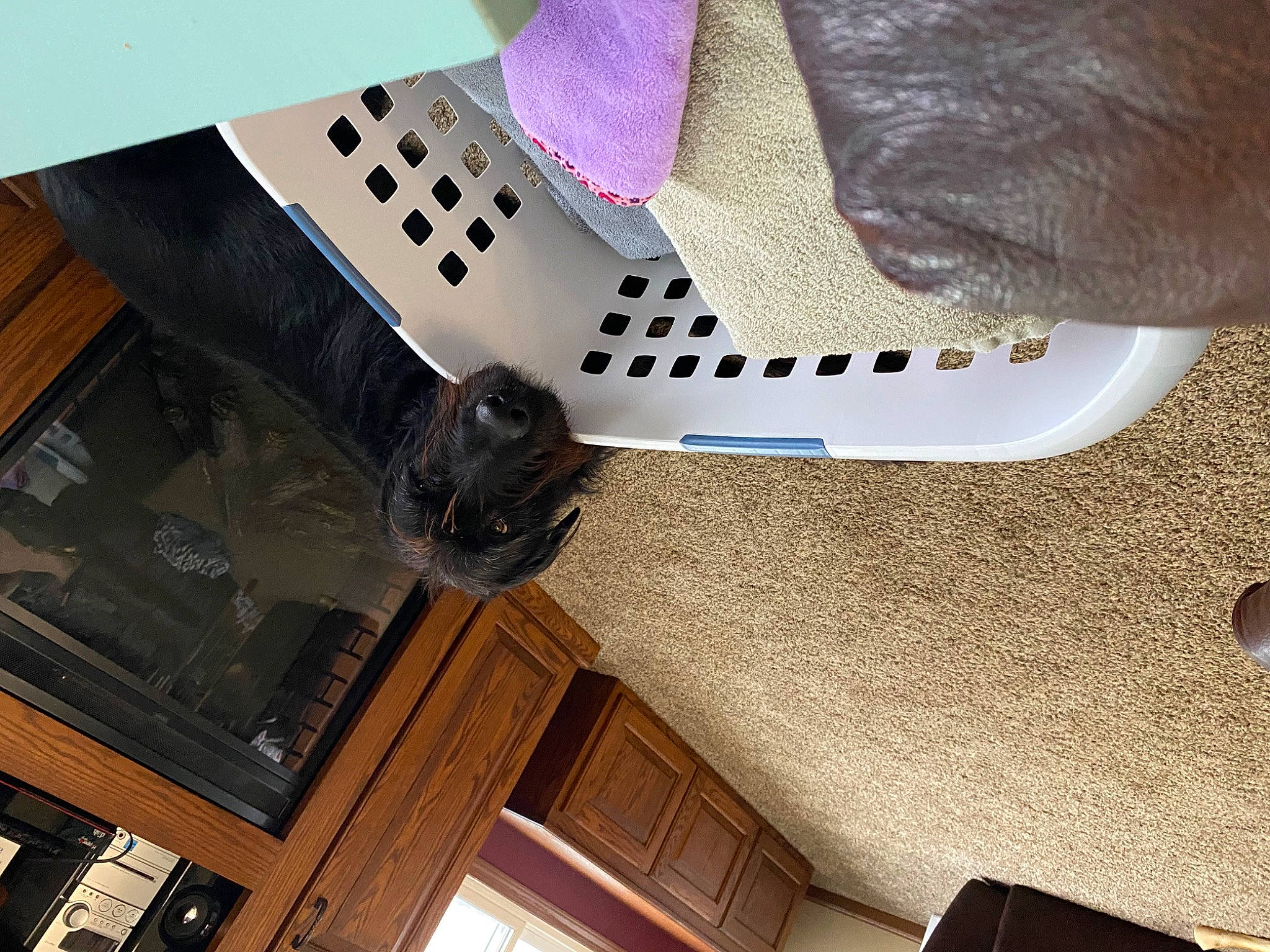 Mac joined the competition — help win amazing prizes! audio_equipment, auto_part, carmine, ceiling, electronic_instrument, fashion_accessory, flooring, hardwood, machine, magenta, musical_instrument_accessory, pattern, plywood, room, sleeve, tie, tool, varnish, wood, wood_stain