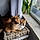 Christophe R.
