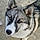 Balto