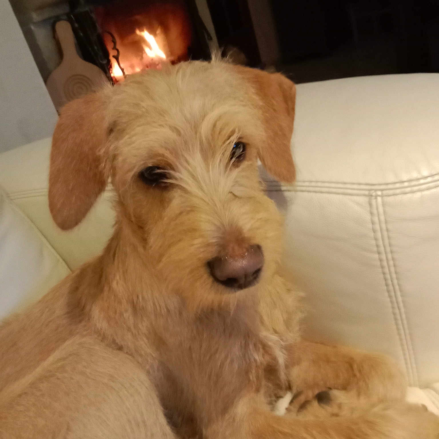 Sam
