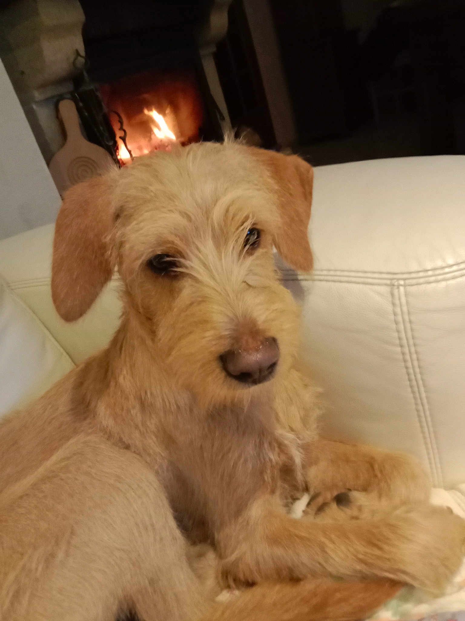 Sam