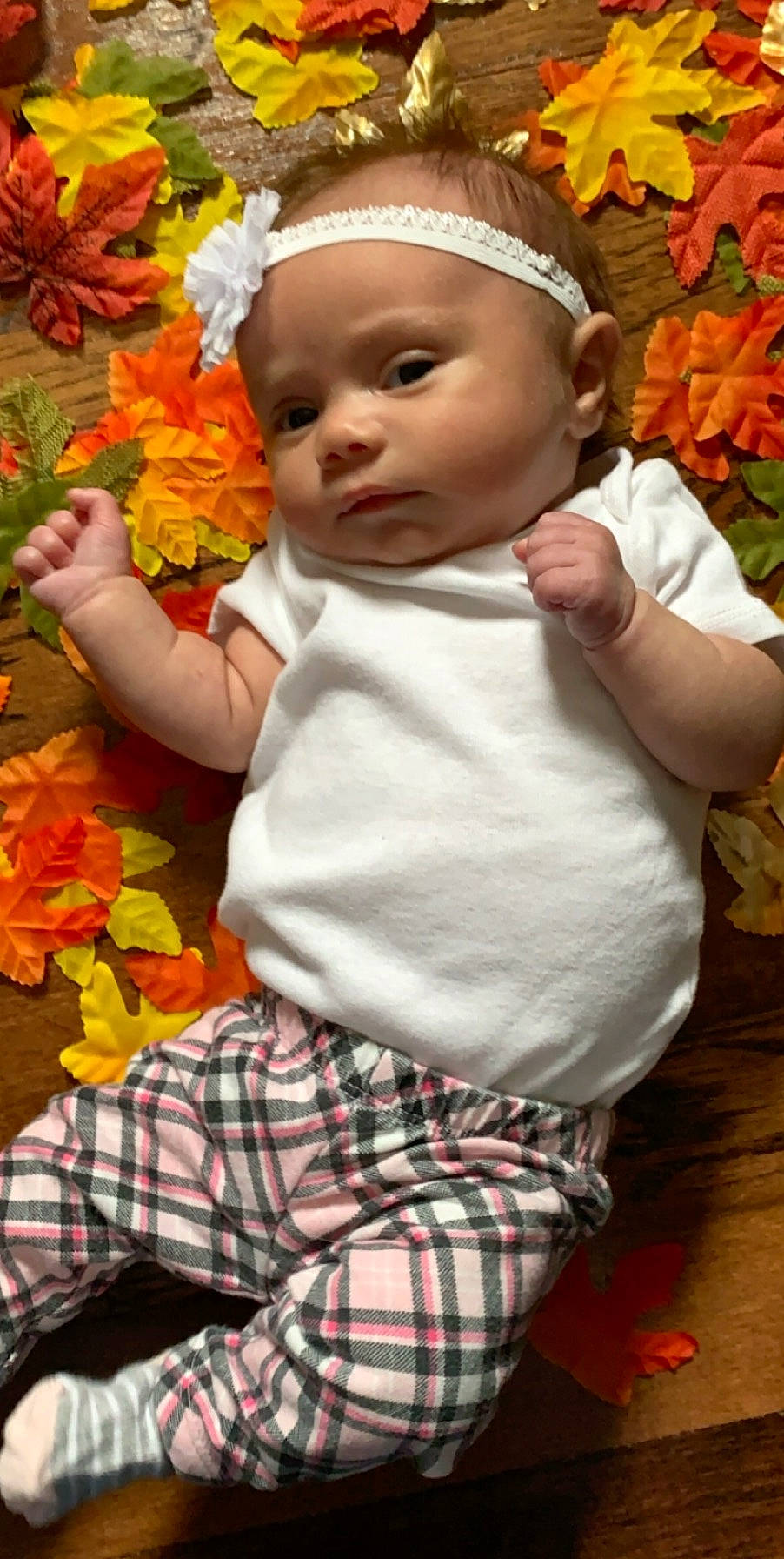 Bella joined the competition — help win amazing prizes! autumn, baby, child, headwear, leaf, person, toddler