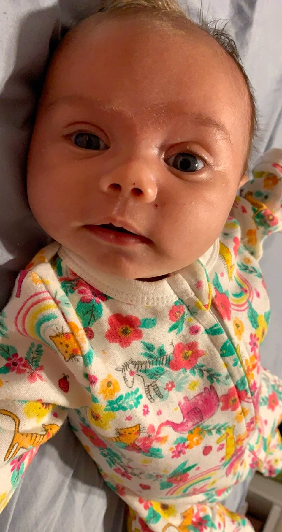 Bella joined the competition — help win amazing prizes! baby, cheek, child, chin, eye, face, facial_expression, head, lip, mouth, nose, person, skin, smile, toddler