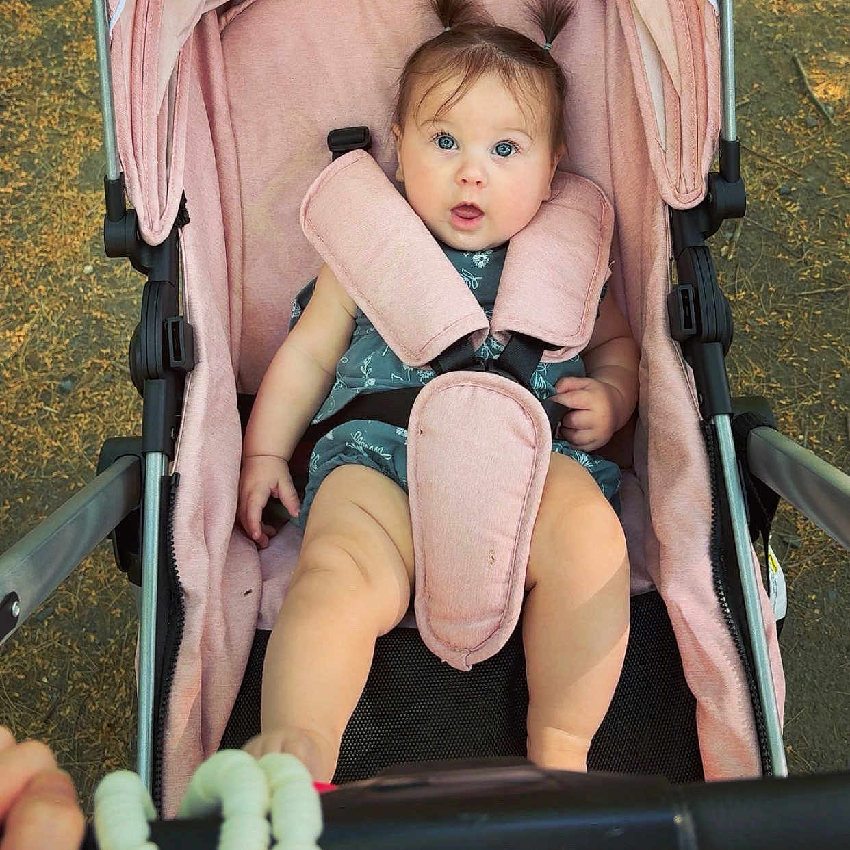 Adaline joined the competition — help win amazing prizes! baby, stroller, child, outdoor, pink, pigtails, blue_eyes, seatbelt, summer_clothing, hand, expression, person, cute, infant, walking_path, sunlight, nature, legs, shoulder_straps, portrait