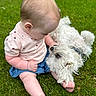 adorable, animal, baby, casual_clothing, child, cute, dog, friendship, grass, grass_field, infant, interaction, nature, outdoor, pet, playing, sitting, summer, toddler, white_dog