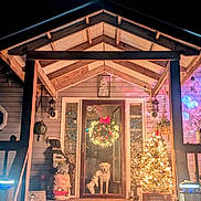 Milaandmilo is registered to the contest to win money with this photo: adult, animal, architecture, bridegroom, building, canine, christmas, christmasdecorations, christmastree, dog, festival, house, housing, male, man, person, pet, porch, portico, wedding
