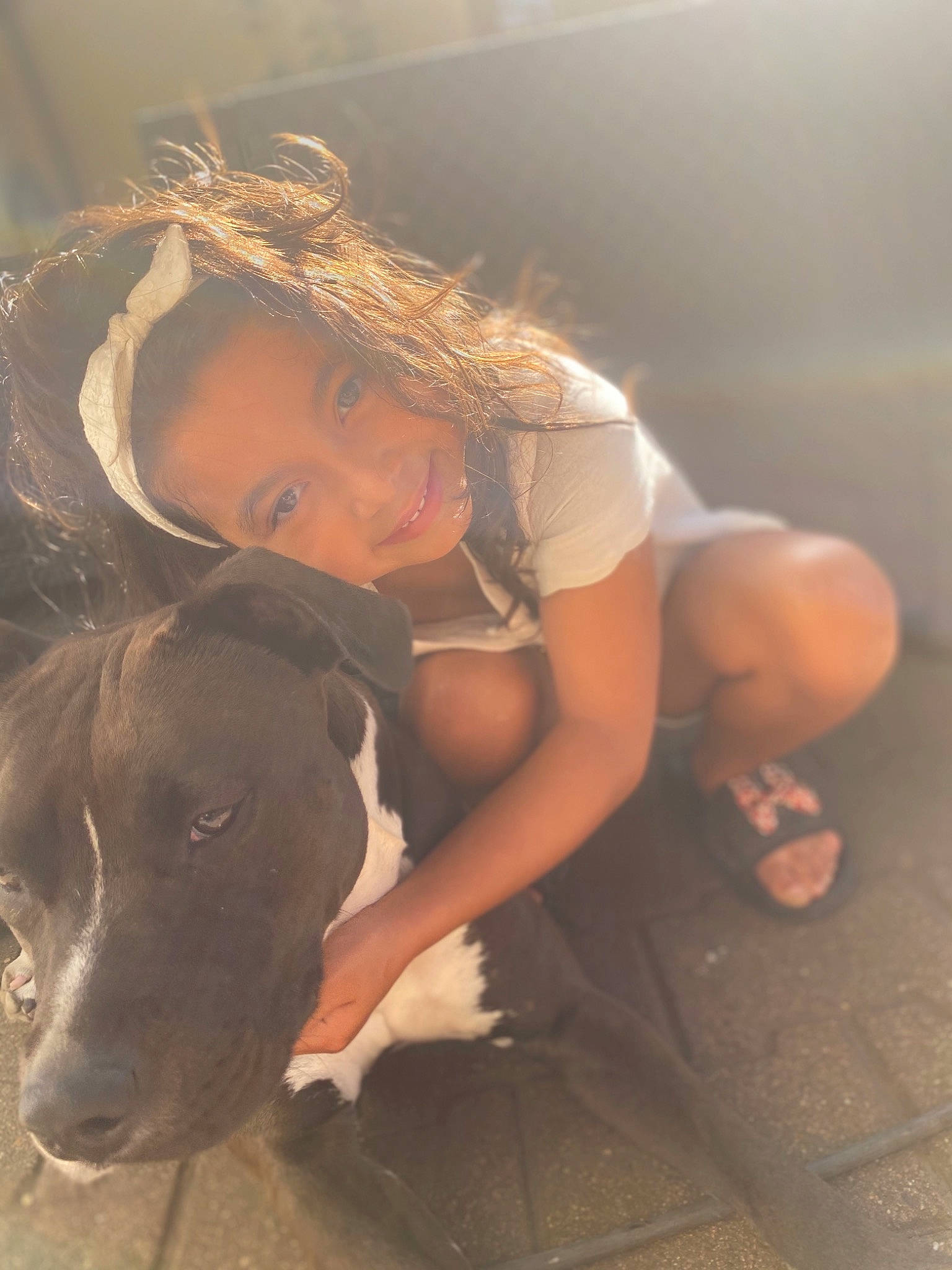 Alya a rejoint le concours — aidez-le/la à gagner de superbes lots ! brown_hair, carnivore, companion_dog, dog, dog_breed, fashion_accessory, fawn, flash_photography, flooring, fun, fur, grass, happy, human_leg, joy, leg, long_hair, person, sandal, sporting_group