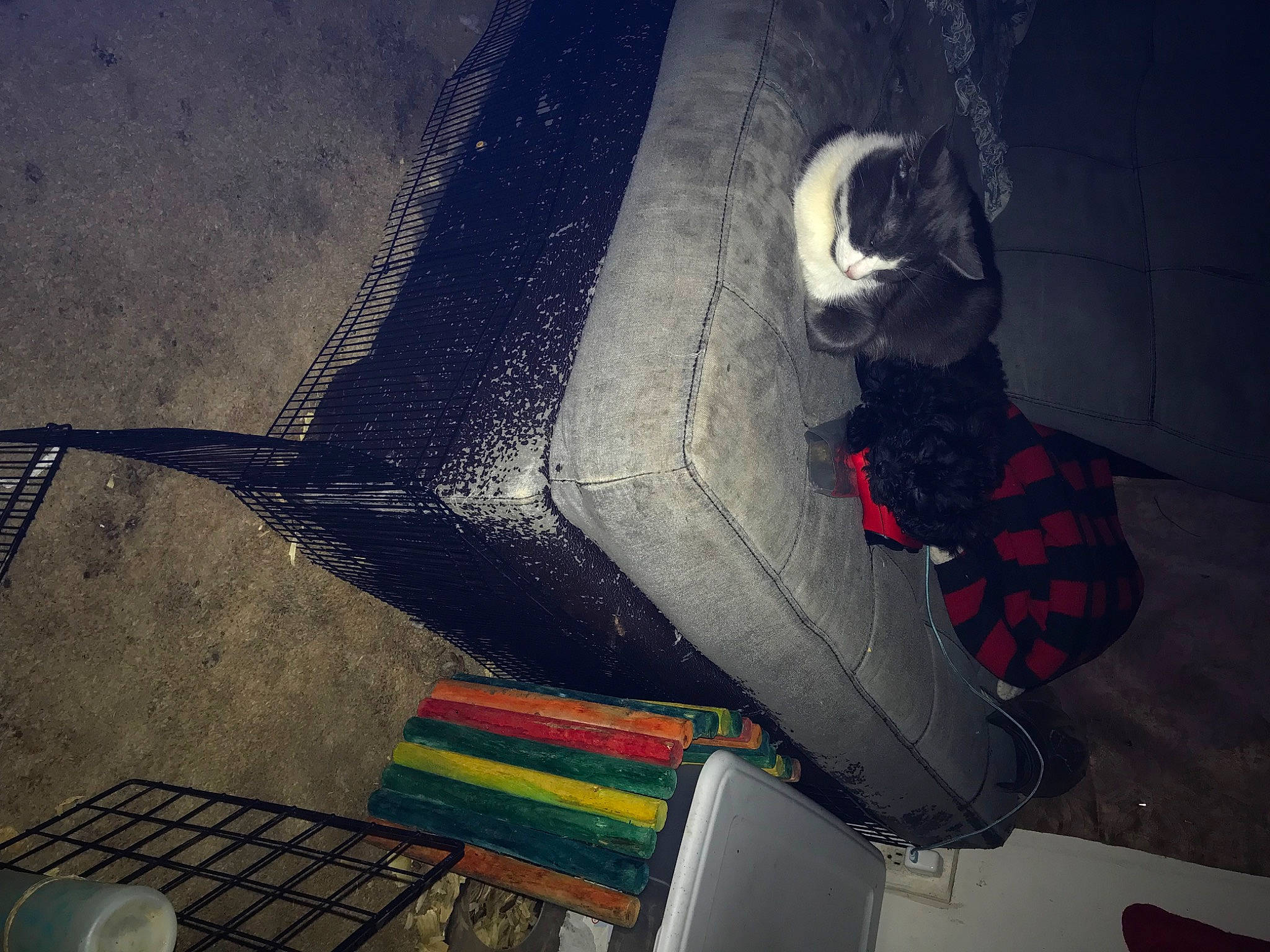 Cole is registered to the contest to win money with this photo: auto_part, automotive_design, automotive_exterior, automotive_lighting, automotive_tire, automotive_window_part, bumper, carmine, flooring, gas, human_leg, metal, pattern, personal_protective_equipment, shadow, tints_and_shades, vehicle_door, visual_arts, windshield, wing