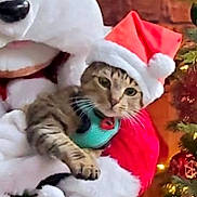 Mimi joined the competition — help win amazing prizes! cat, santa_hat, tabby_cat, mascot_costume, dog_mascot, christmas_tree, christmas_lights, holiday, festive, decoration, person, costume, indoor, celebration, seasonal, animal, pet, holding, red, white