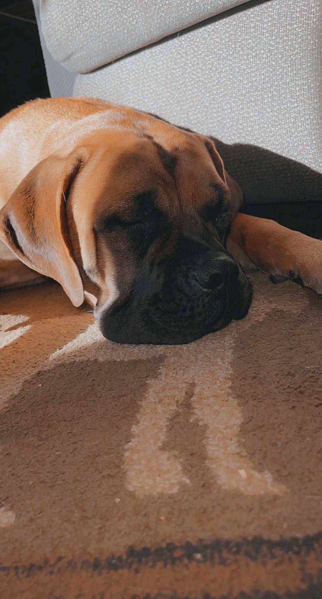 Baxter