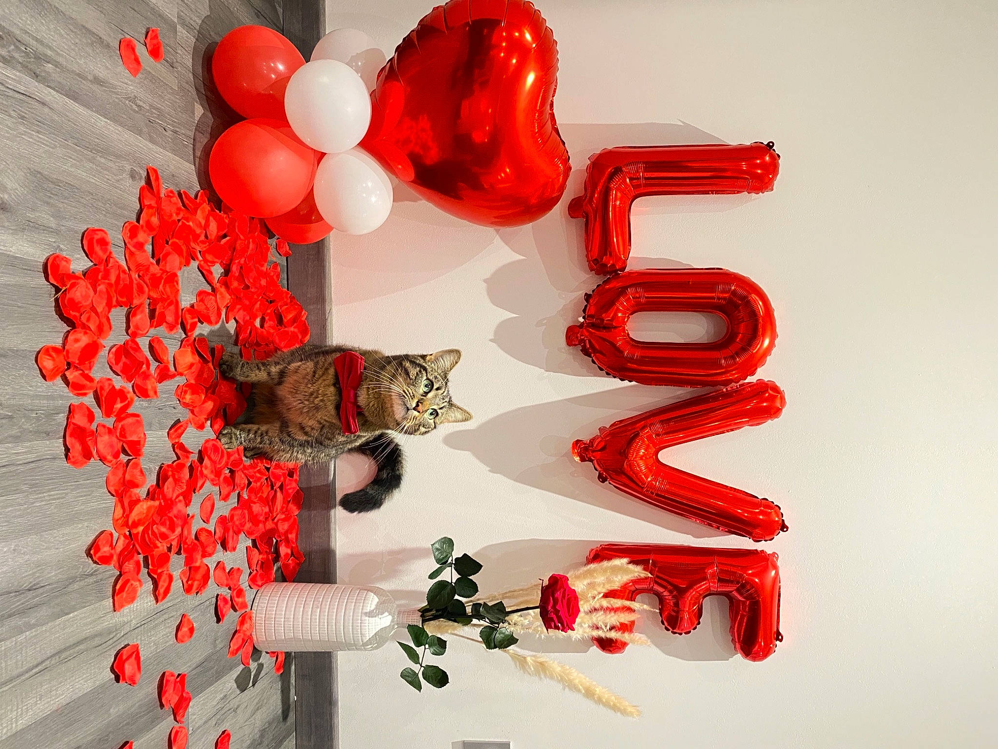 Mylow participe au concours pour gagner de l'argent avec cette photo : art, balloon, carmine, circle, event, fashion_accessory, font, graphics, heart, holiday, jewellery, organism, party_supply, pattern, peach, petal, red, still_life_photography, symbol, twig