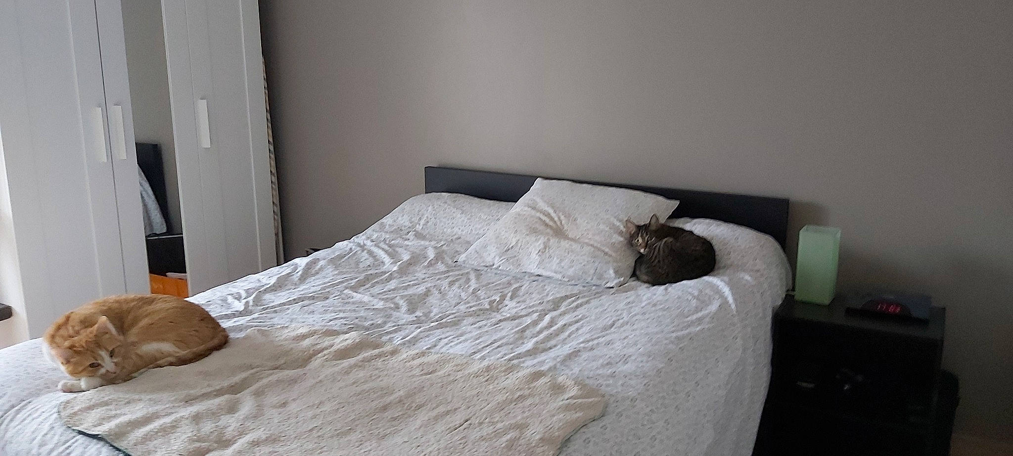 Cuelha a rejoint le concours — aidez-le/la à gagner de superbes lots ! bed, bed_frame, bedding, bedroom, building, comfort, duvet, flooring, furniture, grey, hardwood, house, lamp, linens, mattress, mattress_pad, pillow, throw_pillow, window_treatment, wood