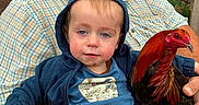 Coby joined the competition — help win amazing prizes! animal, beard, bird, casual, chicken, child, face, farm, fence, holding, hoodie, man, nature, outdoor, person, plaid_shirt, portrait, rustic, toddler, wood