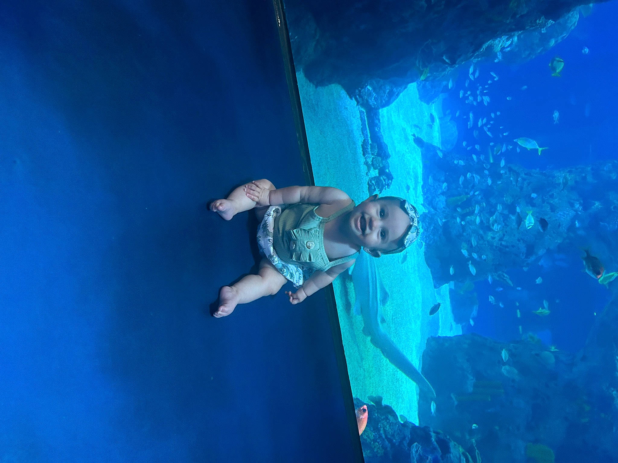 Evalynn is registered to the contest to win money with this photo: adventure, aqua, blue, electric_blue, event, fun, leisure, marine_biology, organism, performance, person, playground, recreation, sky, swimming_pool, t_shirt, toddler, underwater, water