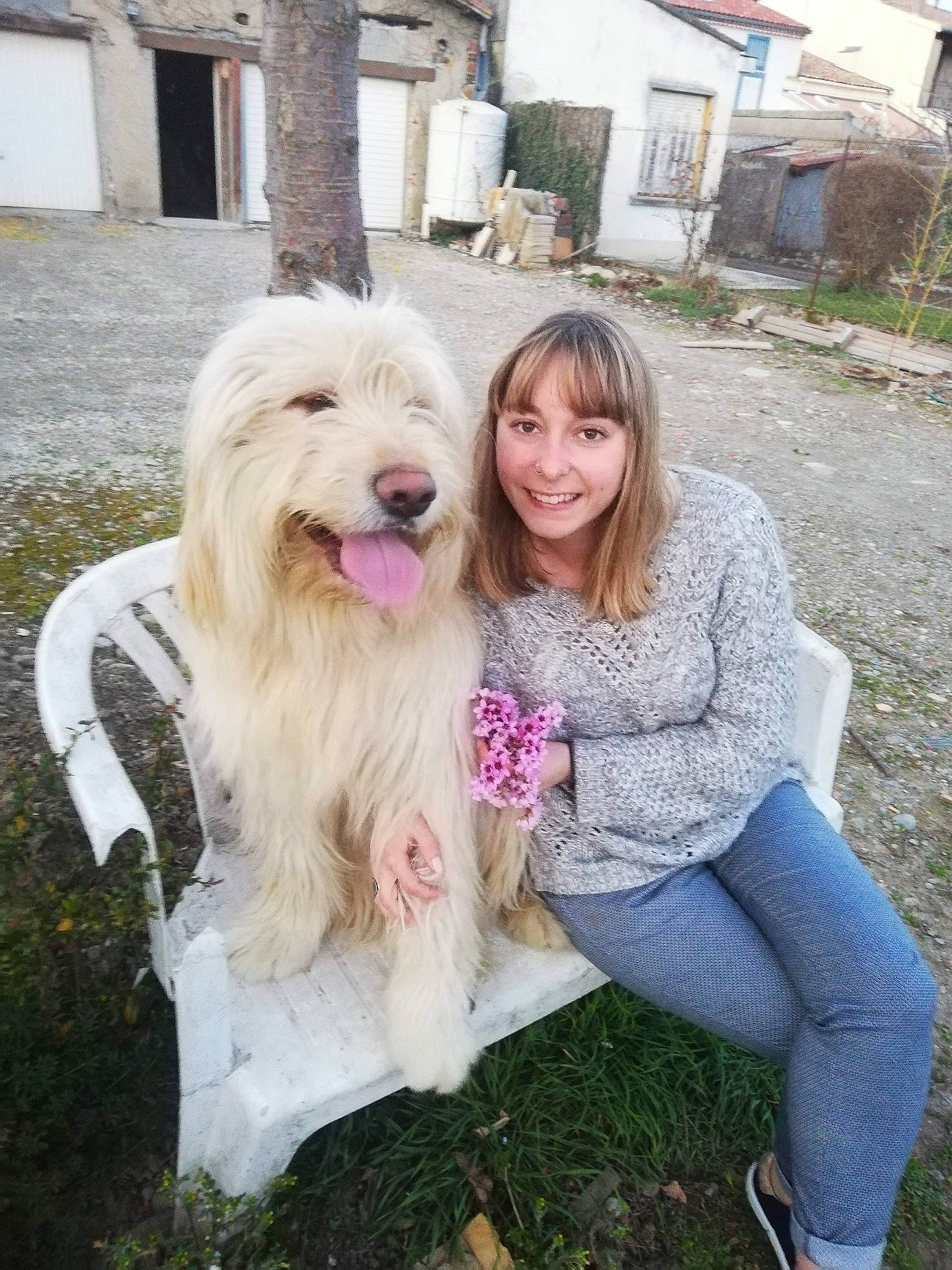 Jonas a rejoint le concours — aidez-le/la à gagner de superbes lots ! briquet_griffon_vendeen, canidae, carnivore, catalan_sheepdog, companion_dog, dog, dog_breed, mammal, old_english_sheepdog, rare_breed_dog, romanian_mioritic_shepherd_dog, sapsali, south_russian_ovcharka, sporting_group, terrier, vertebrate