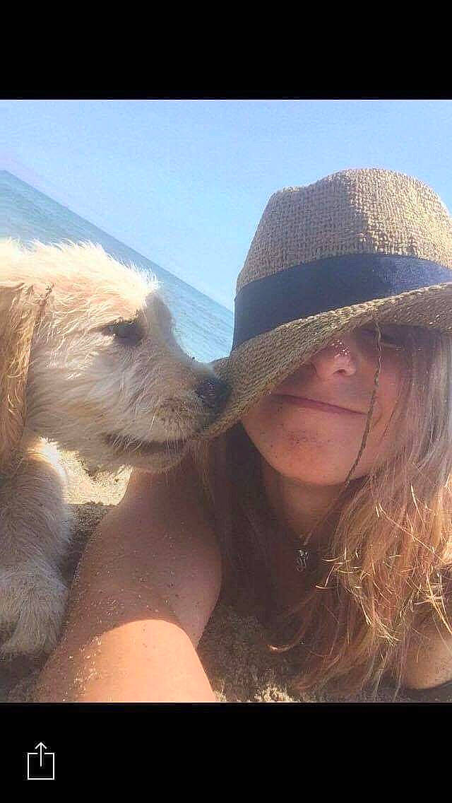 Jo participe au concours pour gagner de l'argent avec cette photo : canidae, carnivore, companion_dog, dog, dog_breed, friendship, fun, love, nose, photography, puppy_love, selfie, sporting_group