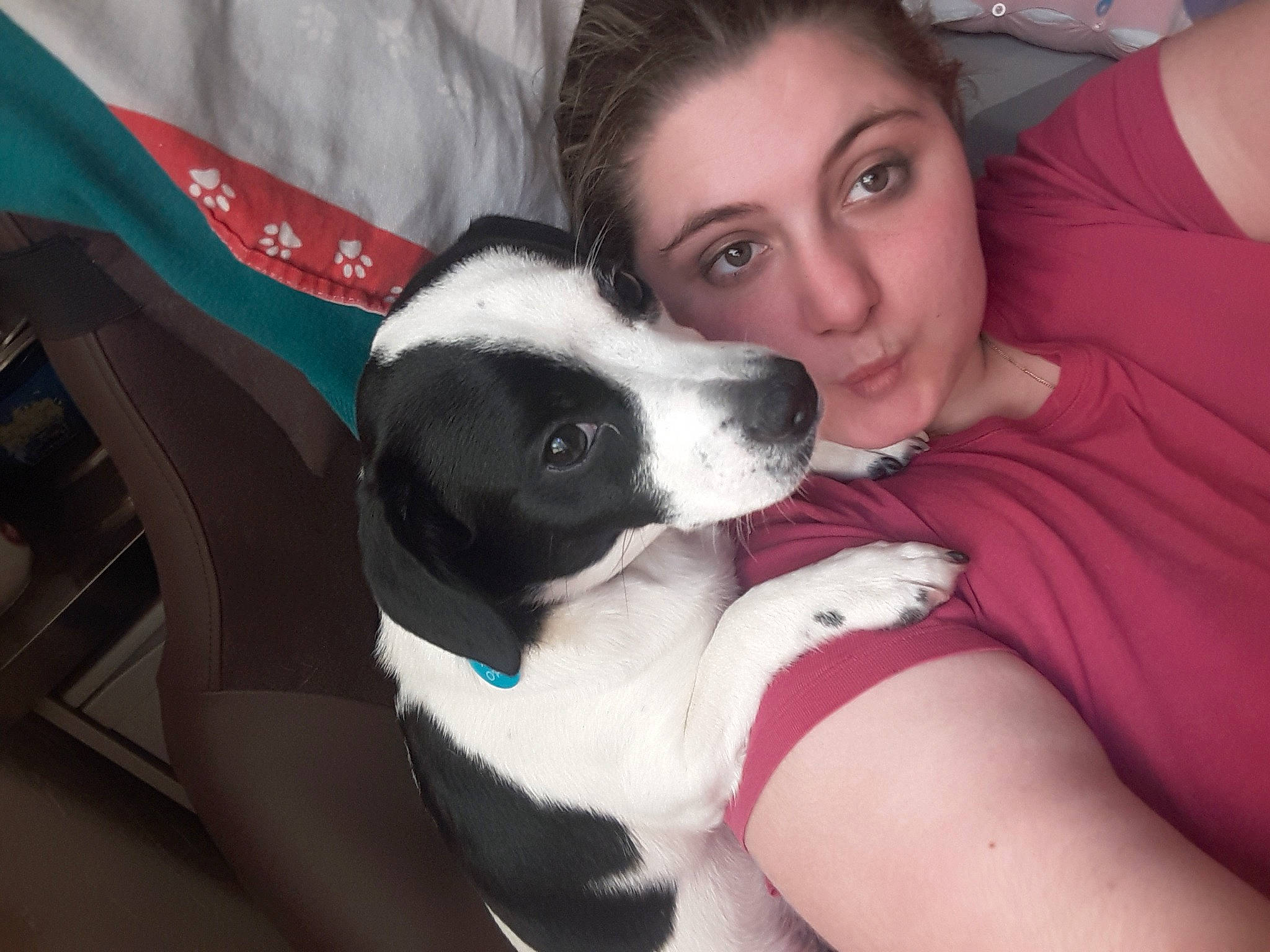 Princesse a rejoint le concours — aidez-le/la à gagner de superbes lots ! boston_terrier, canidae, carnivore, companion_dog, dog, dog_breed, leg, mammal, non_sporting_group, nose, person, puppy, puppy_love, vertebrate