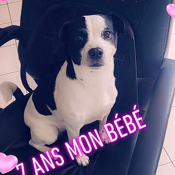 Princesse