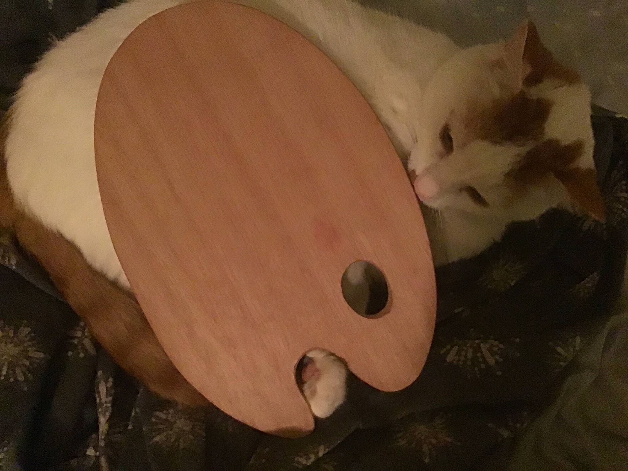 Caramel joined the competition — help win amazing prizes! ear