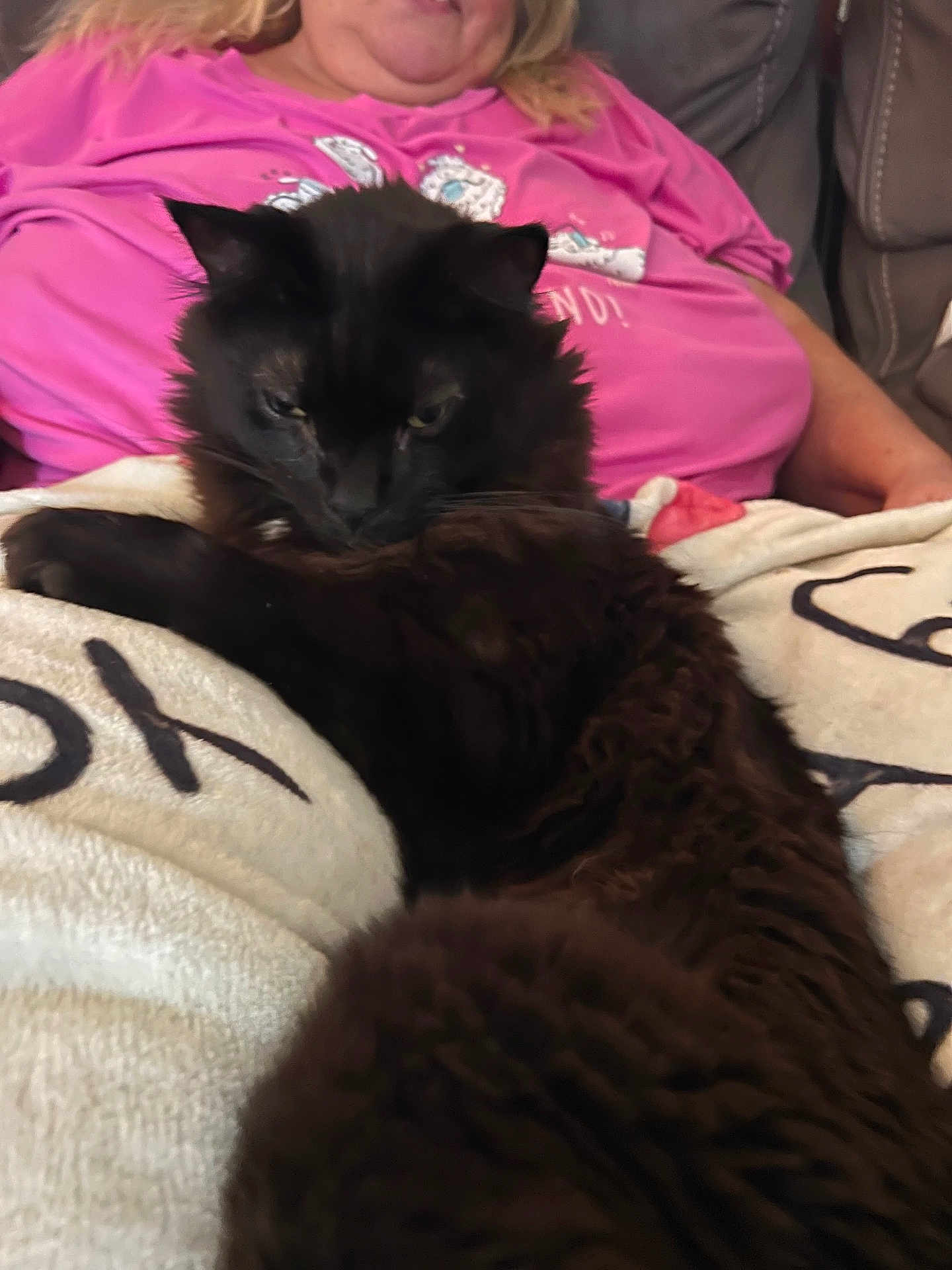 Mr. Fuzzy Pants