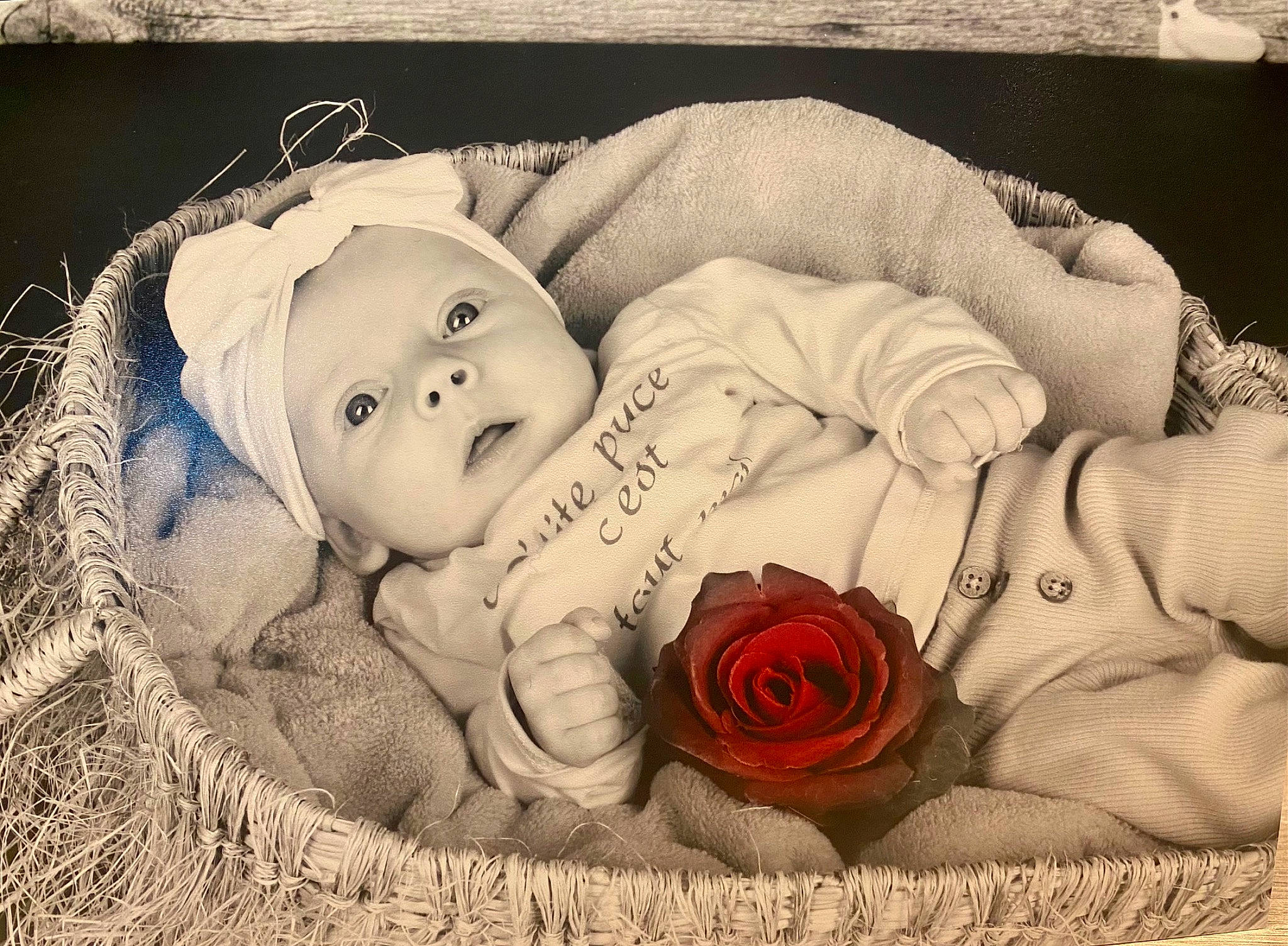 Margaux a rejoint le concours — aidez-le/la à gagner de superbes lots ! art, baby, baby_sleeping, baby_toddler_clothing, bedtime, child, comfort, flower, font, happy, headgear, headwear, linens, monochrome_photography, person, petal, rectangle, rose, rose_order, stock_photography