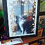 bokeh, box, cat, clutter, decor, drawer, fan, furniture, household_items, indoor, packaging, pet, photo_frame, portrait, reflection, snowflake_effects, still_life, tube, window, wooden_surface