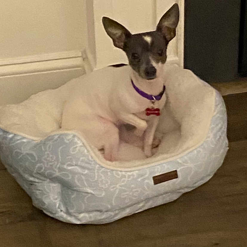 Fiona