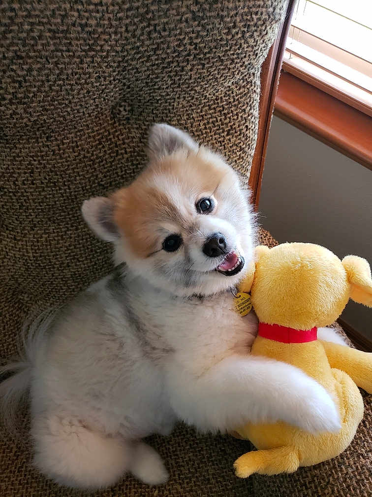Jackson