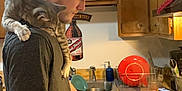 Lemur is registered to the contest to win money with this photo: cooking
