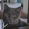 Kiwi participe au concours pour gagner de l'argent avec cette photo :