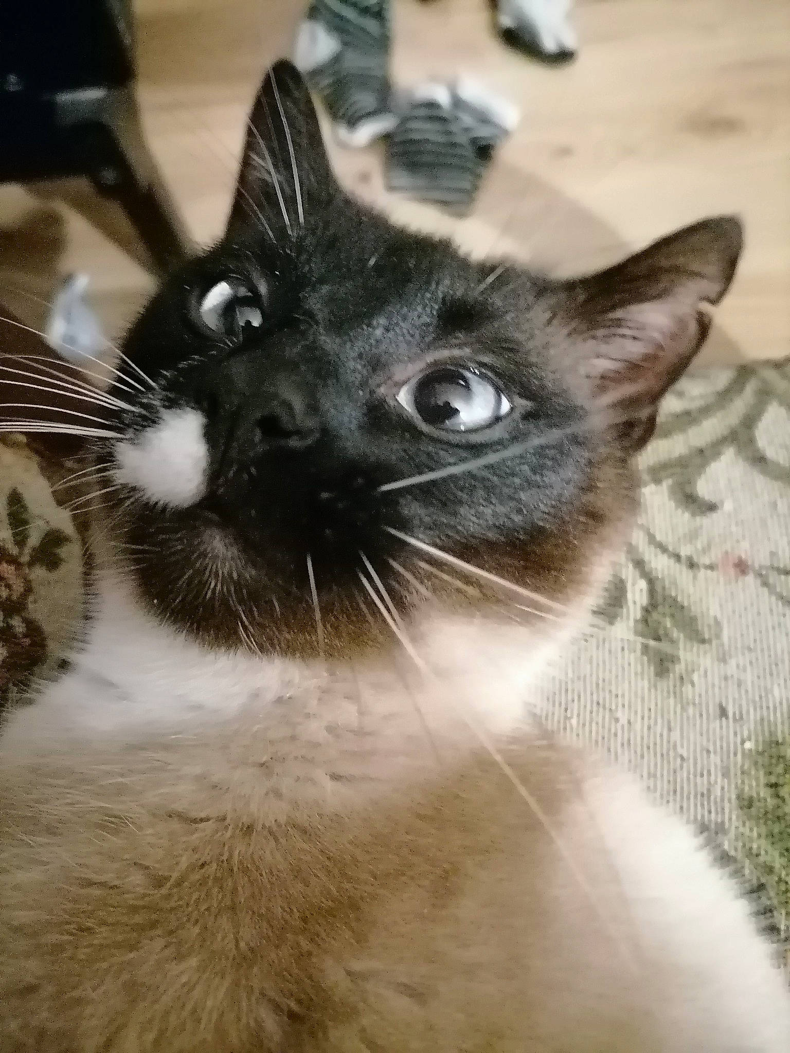 Bô.