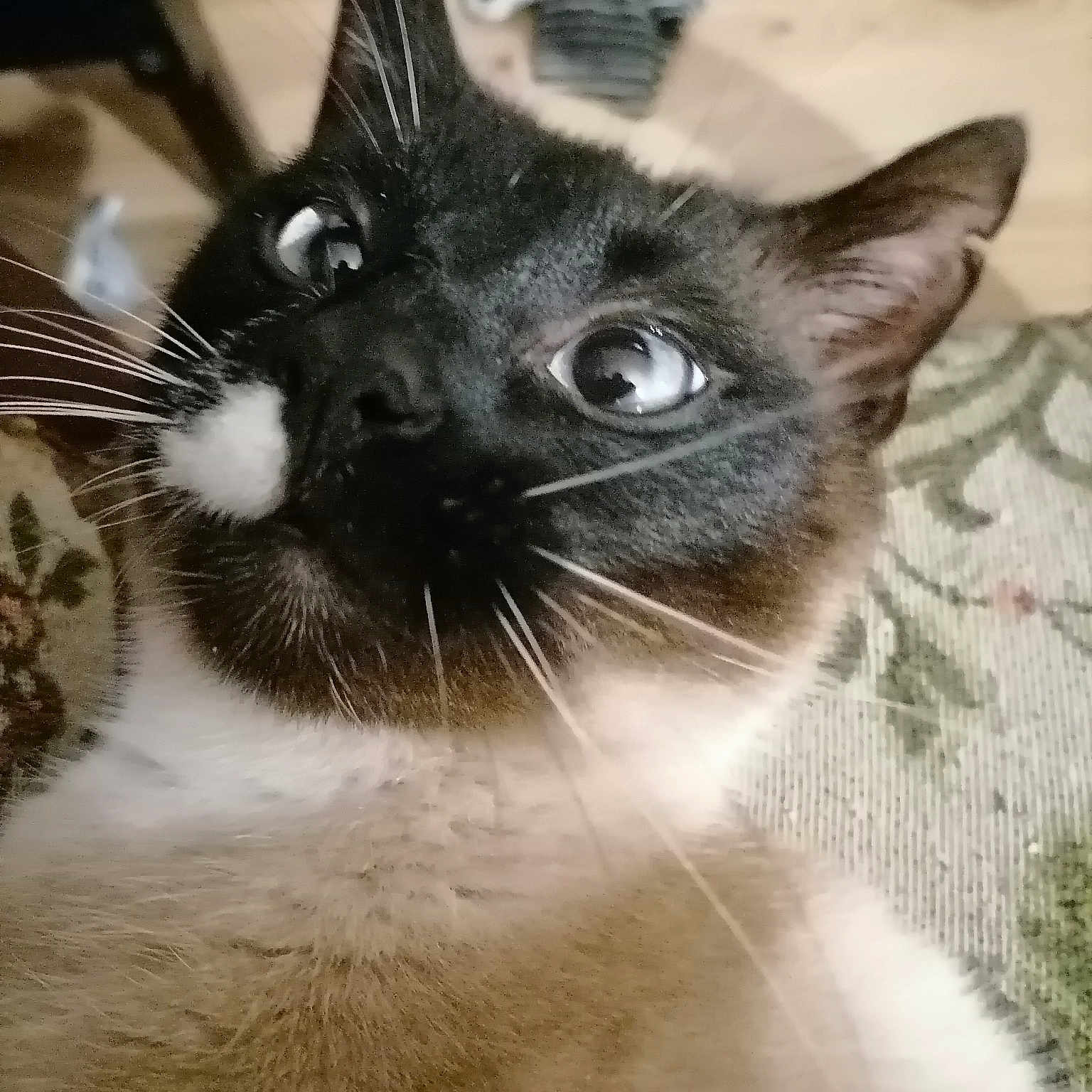 Bô.