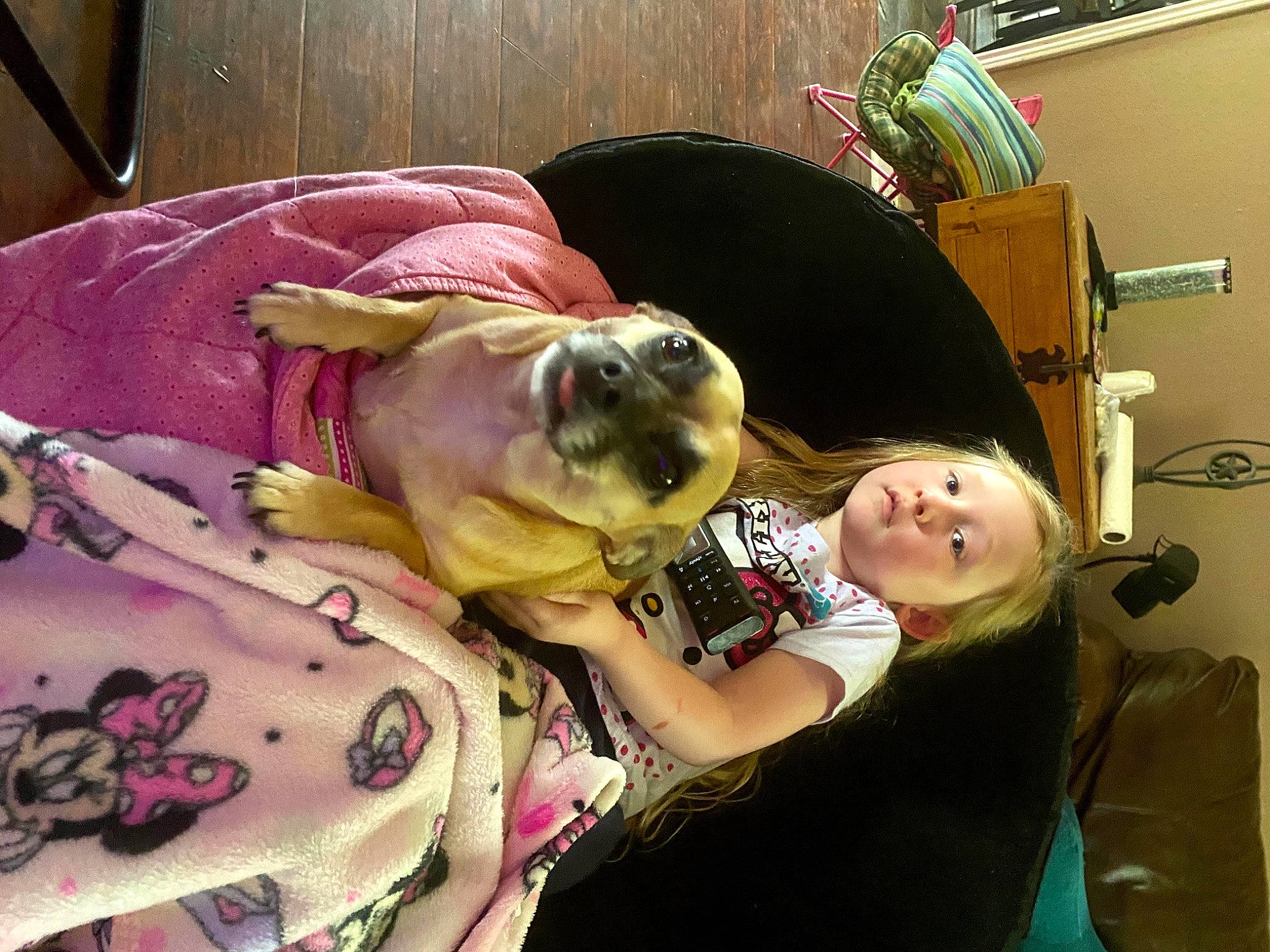 Princess is registered to the contest to win money with this photo: canidae, carnivore, comfort, companion_dog, dog, dog_breed, dog_clothes, dog_supply, eyewear, fawn, fun, fur, magenta, pattern, room, smile, sporting_group, sunglasses, toy_dog, working_animal