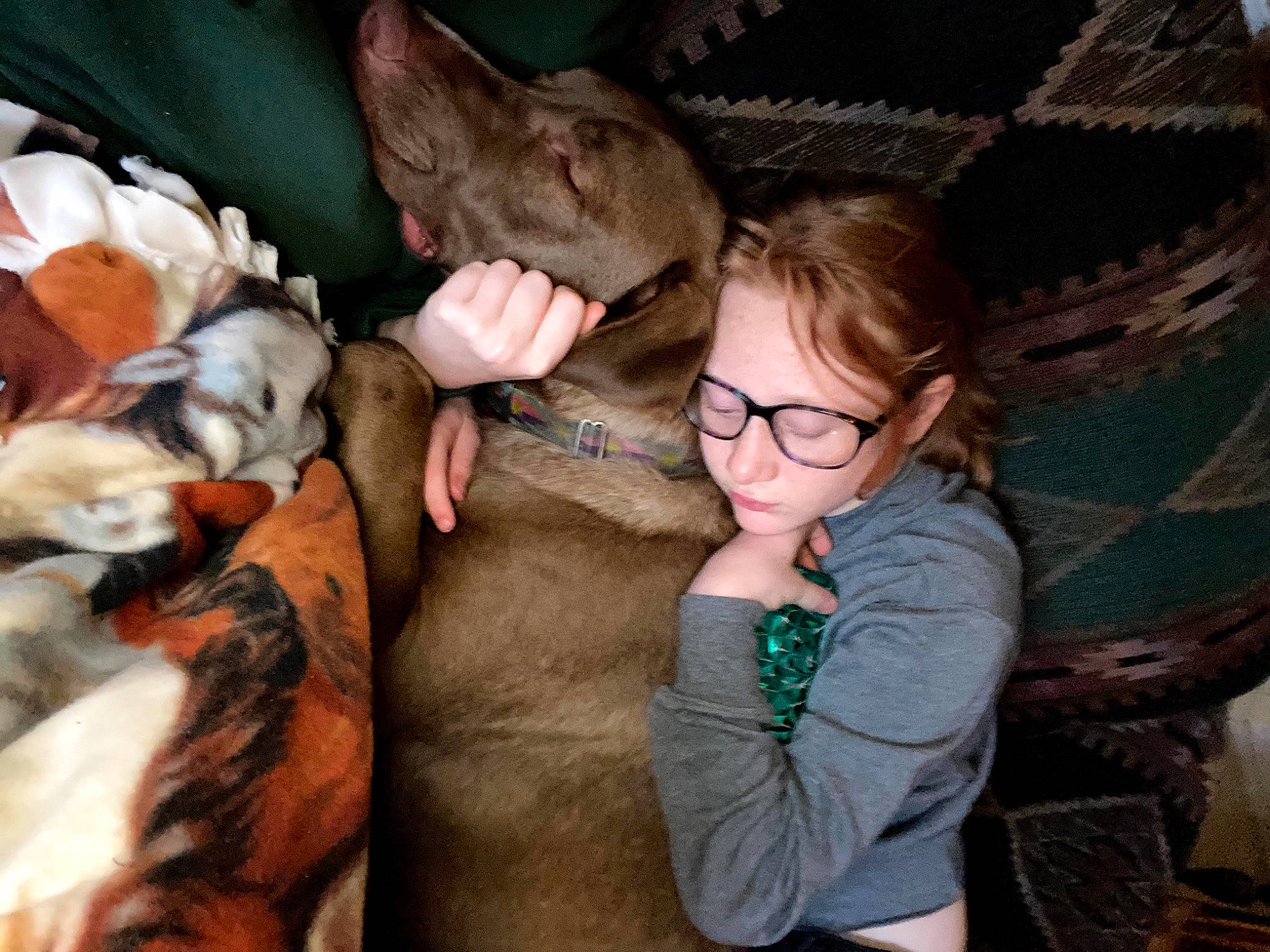 Buddy joined the competition — help win amazing prizes! canidae, carnivore, child, comfort, companion_dog, dog, dog_breed, event, fawn, felidae, fun, fur, lap, leisure, mammal, sitting, snout, sporting_group, vertebrate, working_animal