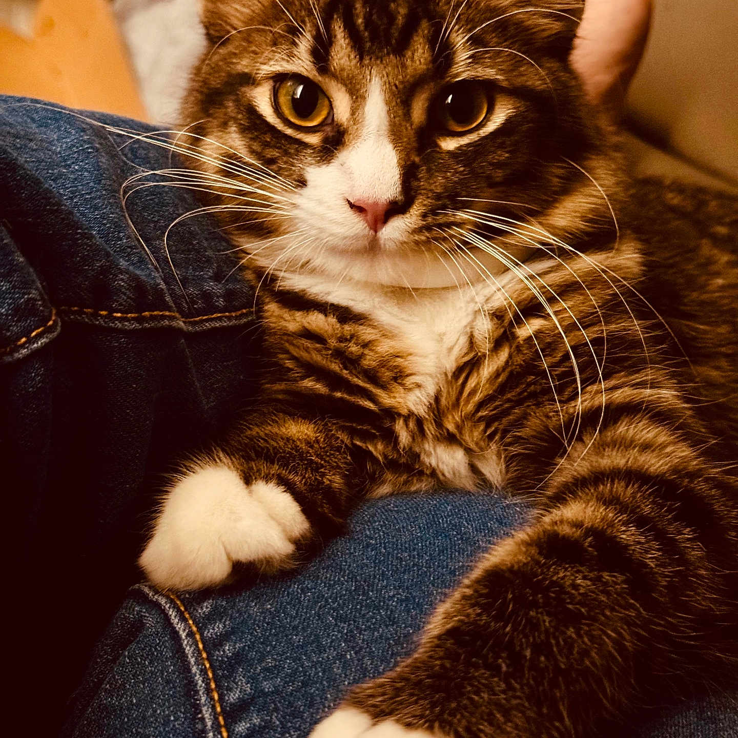 Tux