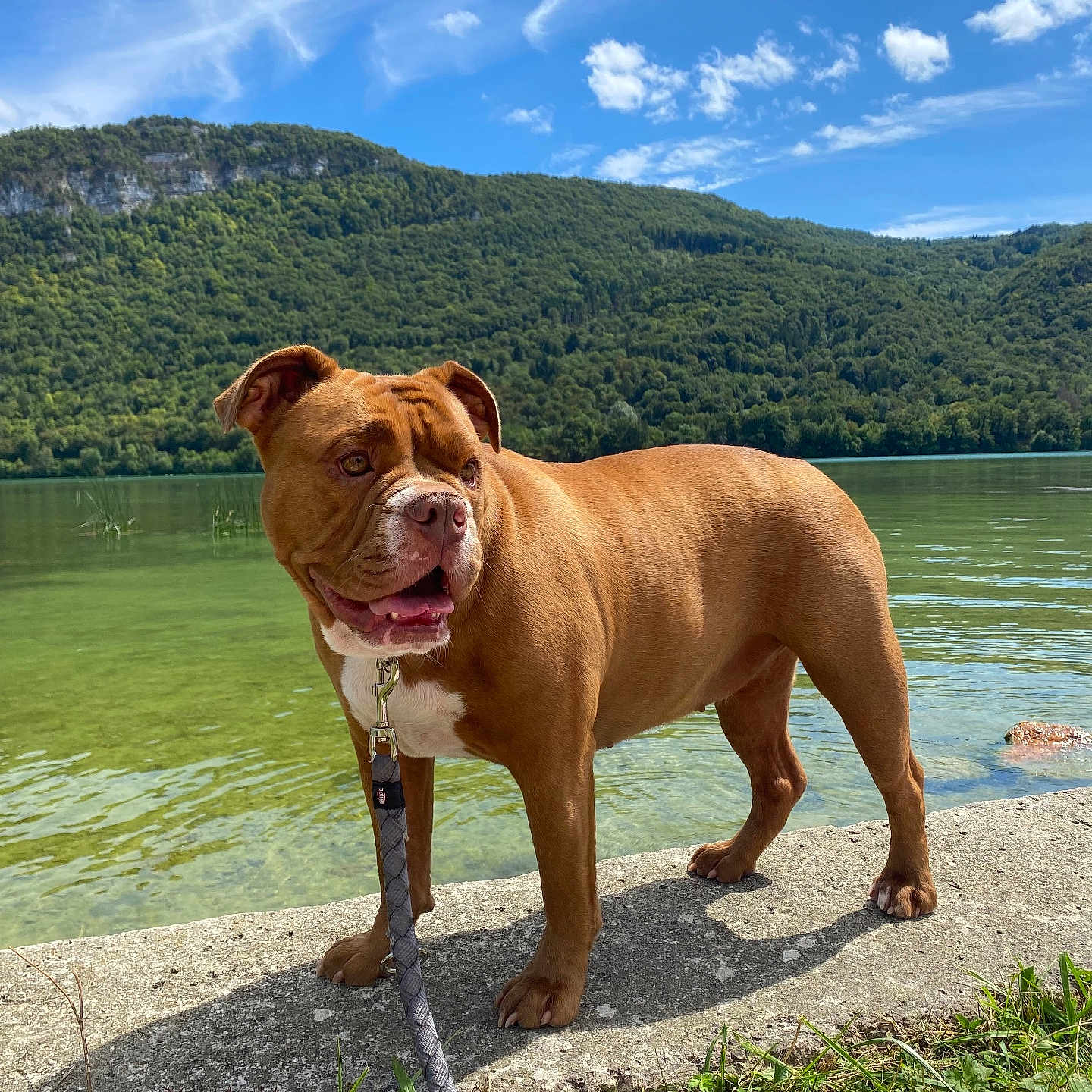 Ruby
