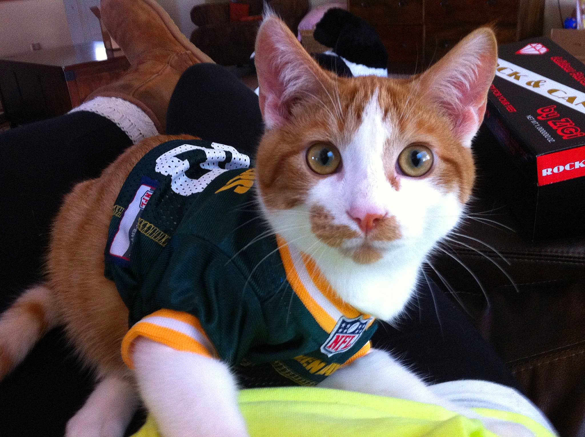 Milo