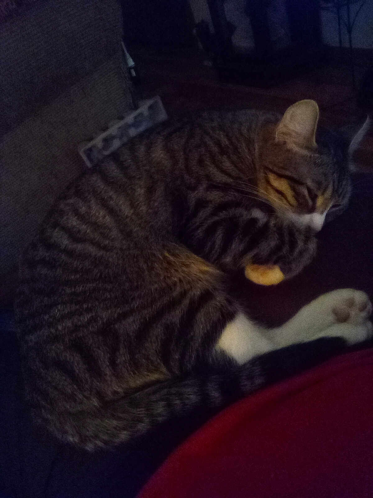 Bootsie