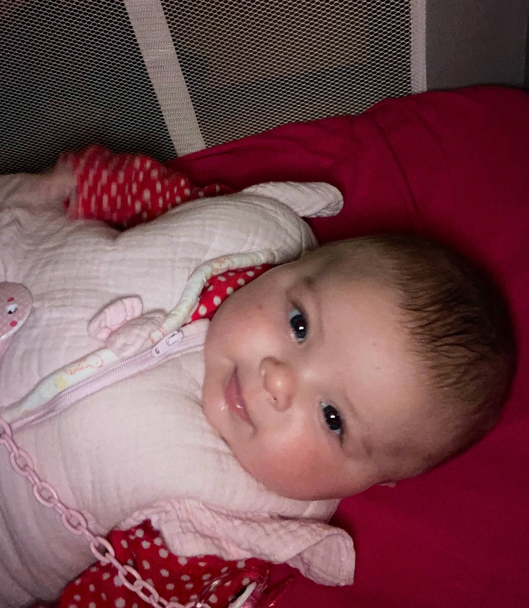 Lina participe au concours pour gagner de l'argent avec cette photo : baby, baby_products, baby_toddler_clothing, carmine, cheek, child, comfort, eye, eyebrow, face, head, iris, lip, mouth, nose, pattern, person, skin, sleeve, textile