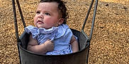 Camila is registered to the contest to win money with this photo: baby, child, swing, playground, wood_chips, bucket_swing, curly_hair, blue_dress, outdoor, stone_wall, infant, seat, metal_chains, cute, expression, legs, summer, daylight, park, young_child