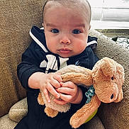 Brooks is registered to the contest to win money with this photo: baby, child, stuffed_animal, plush_toy, armchair, cozy, indoors, window, natural_light, cute, infant, holding, black_clothing, face, hands, curious, soft_texture, seated, young, portrait