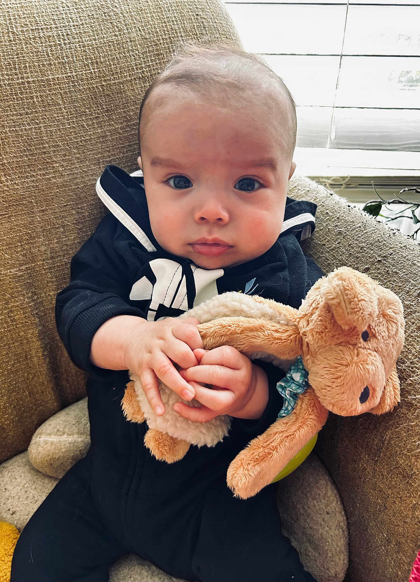 Brooks is registered to the contest to win money with this photo: baby, child, stuffed_animal, plush_toy, armchair, cozy, indoors, window, natural_light, cute, infant, holding, black_clothing, face, hands, curious, soft_texture, seated, young, portrait