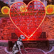 Robby participe au concours pour gagner de l'argent avec cette photo : architecture, bench, building, cityscape, dalmatian, decoration, dog, evening, heart_shaped_light, holiday_lights, lights, outdoor, park, pavement, pet, seat, spot_pattern, stone_wall, twilight, urban