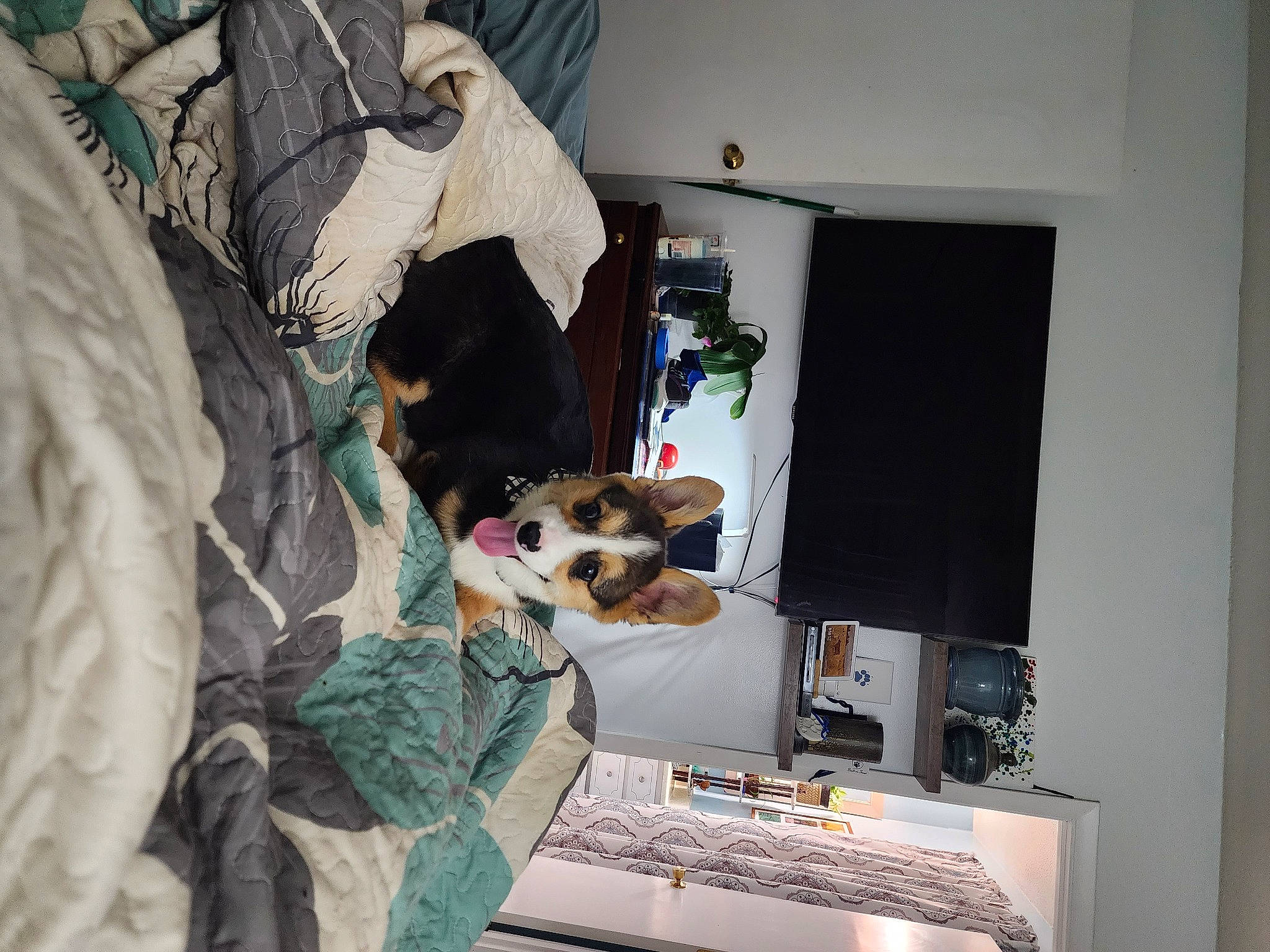 Phoenix joined the competition — help win amazing prizes! art, event, eyewear, fashion_design, fur, linens, machine, room, visual_arts