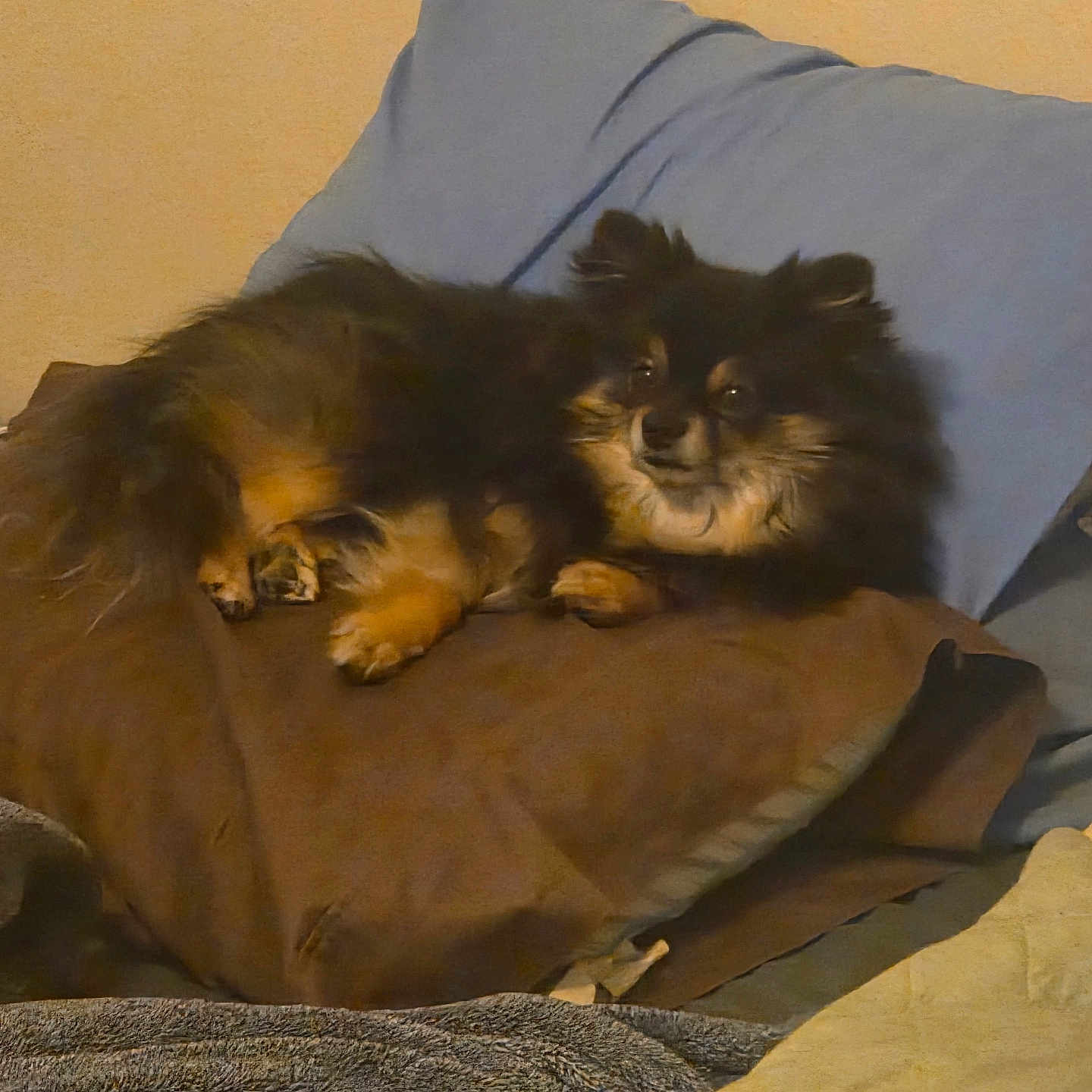 Chloe
