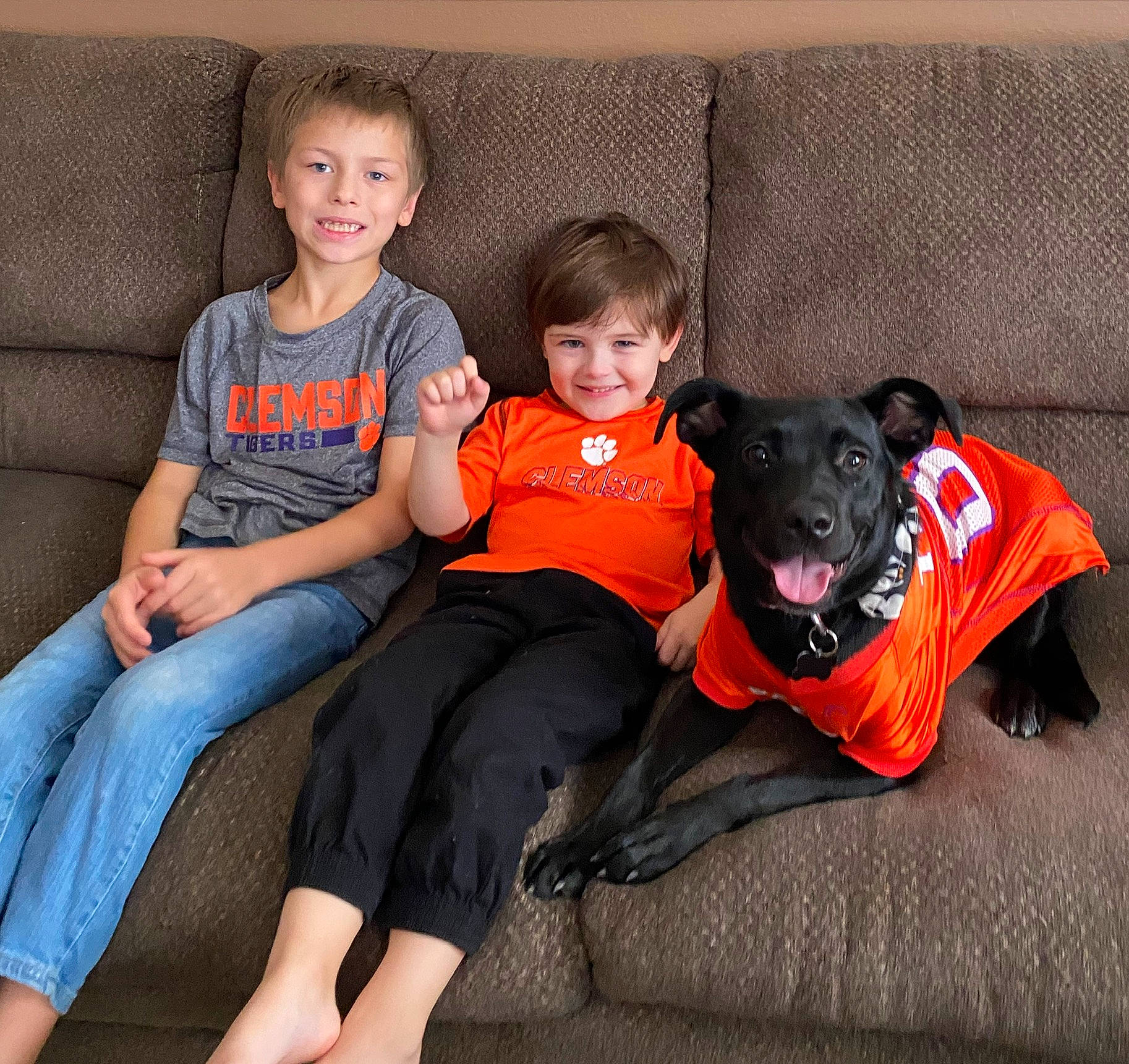 Minnie is registered to the contest to win money with this photo: carnivore, comfort, companion_dog, couch, dog, event, fun, happy, head, knee, lap, leg, leisure, mammal, sitting, sleeve, smile, t_shirt, thigh, vertebrate