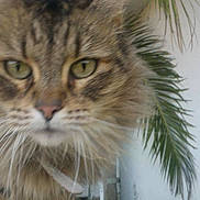 Hyioa a rejoint le concours — aidez-le/la à gagner de superbes lots !