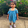 child, toddler, girl, portrait, outdoor, garden, flowers, hydrangea, plants, blue_dress, lace_clothing, rainbow_shoes, sneakers, sidewalk, residential, houses, standing, serious_expression, hair_bows, daylight