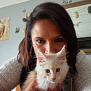 Loki a rejoint le concours — aidez-le/la à gagner de superbes lots ! animal, brown_hair, cat, cozy, cute, face, fur, hand, home, indoor, kitten, looking_at_camera, owl_decor, person, pet, portrait, string_lights, tattoo, wall, watch